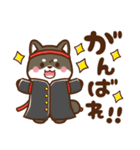 黒豆柴 あずき♡毎日使えるスタンプ（個別スタンプ：33）