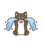 黒豆柴 あずき♡毎日使えるスタンプ（個別スタンプ：37）