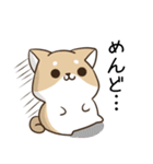 毎日五月病な犬とねこたち（個別スタンプ：13）