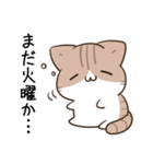 毎日五月病な犬とねこたち（個別スタンプ：24）