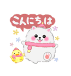 ポメラニアン「ぽちゃん」冬（個別スタンプ：2）