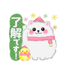 ポメラニアン「ぽちゃん」冬（個別スタンプ：5）