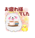 ポメラニアン「ぽちゃん」冬（個別スタンプ：10）