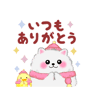 ポメラニアン「ぽちゃん」冬（個別スタンプ：15）