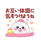 ポメラニアン「ぽちゃん」冬（個別スタンプ：23）