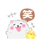 ポメラニアン「ぽちゃん」冬（個別スタンプ：29）