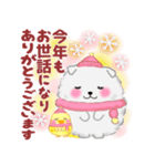 ポメラニアン「ぽちゃん」冬（個別スタンプ：33）