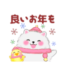 ポメラニアン「ぽちゃん」冬（個別スタンプ：34）