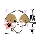 愛犬の名前に出来る！カスタム【シーズー】（個別スタンプ：6）