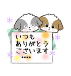 愛犬の名前に出来る！カスタム【シーズー】（個別スタンプ：13）