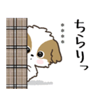 愛犬の名前に出来る！カスタム【シーズー】（個別スタンプ：19）