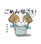 愛犬の名前に出来る！カスタム【シーズー】（個別スタンプ：23）