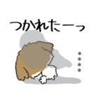 愛犬の名前に出来る！カスタム【シーズー】（個別スタンプ：27）