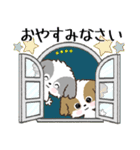 愛犬の名前に出来る！カスタム【シーズー】（個別スタンプ：38）