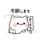 冬★飛び出す気づかいのできないネコ★（個別スタンプ：5）