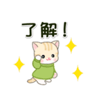セーターベビーにゃんこ 家族連絡（個別スタンプ：2）