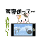 セーターベビーにゃんこ 家族連絡（個別スタンプ：36）