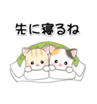 セーターベビーにゃんこ 家族連絡（個別スタンプ：38）
