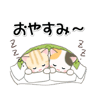 セーターベビーにゃんこ 家族連絡（個別スタンプ：39）