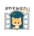 愛犬の名前に出来る！カスタム【柴犬】（個別スタンプ：37）