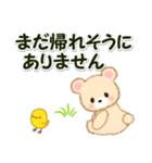 なかよしクマぴよ 敬語連絡（個別スタンプ：34）