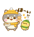 豆柴日和♡冬の毎日（個別スタンプ：3）