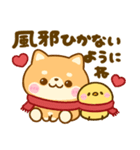 豆柴日和♡冬の毎日（個別スタンプ：15）