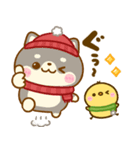 豆柴日和♡冬の毎日（個別スタンプ：19）