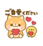 豆柴日和♡冬の毎日（個別スタンプ：23）