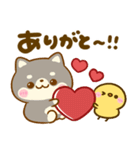 豆柴日和♡冬の毎日（個別スタンプ：24）
