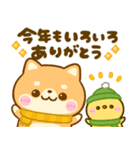 豆柴日和♡冬の毎日（個別スタンプ：29）