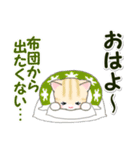 はんてんベビーにゃんこ 冬の毎日（個別スタンプ：10）