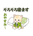 はんてんベビーにゃんこ 冬の毎日（個別スタンプ：33）