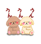 かわいいトイプードル「冬」【修正版】（個別スタンプ：8）