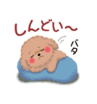 かわいいトイプードル「冬」【修正版】（個別スタンプ：22）