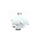 サモエド韓国語 xK0（個別スタンプ：5）