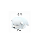 サモエド韓国語 xK0（個別スタンプ：6）