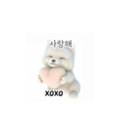 サモエド韓国語 xK0（個別スタンプ：7）