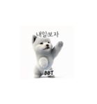 サモエド韓国語 xK0（個別スタンプ：24）