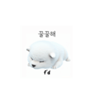 サモエド韓国語 xK0（個別スタンプ：35）