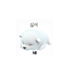サモエド韓国語 xK0（個別スタンプ：40）