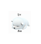 サモエド韓国語 Ynf（個別スタンプ：6）