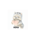 サモエド韓国語 Ynf（個別スタンプ：7）
