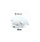 サモエド韓国語 Ynf（個別スタンプ：16）