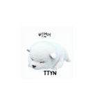 サモエド韓国語 Ynf（個別スタンプ：34）