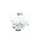 サモエド韓国語 YUZ（個別スタンプ：5）