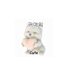 サモエド韓国語 YUZ（個別スタンプ：8）