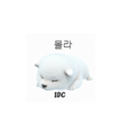サモエド韓国語 YUZ（個別スタンプ：22）