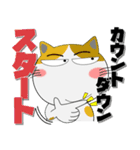 年末年始も、猫三昧（個別スタンプ：1）