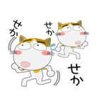 年末年始も、猫三昧（個別スタンプ：24）